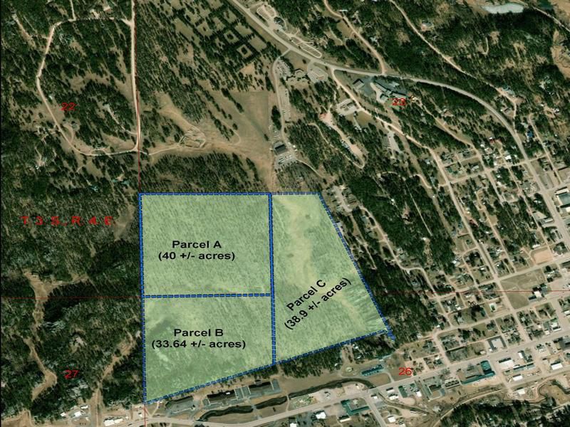 Forest Service land sale map